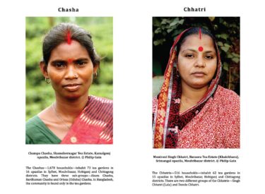 11.Chasha and Chhatri