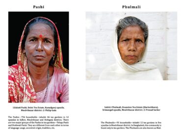 34. Pashi and Phulmali