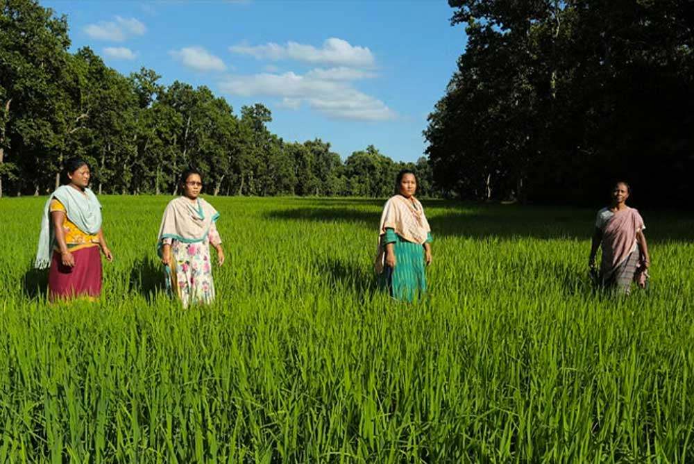 মধুপুর বনে কেন কৃত্রিম হ্রদ?