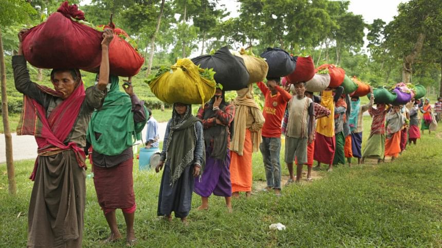 Tea workers routinely ignored during the Covid-19 pandemic