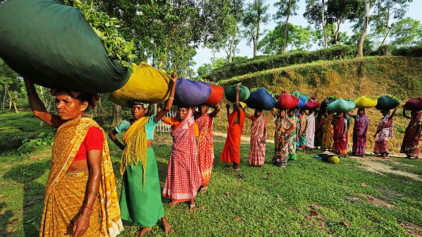 The strong women of tea gardens