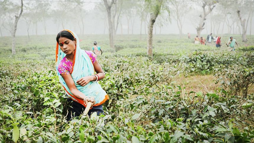 চা-শ্রমিকের ন্যায্য মজুরি দেওয়ার এখনই সময়